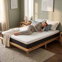 Réduction limitée de 20 % - Livraison depuis l'entrepôt américain - Matelas moderne en mousse à mémoire de forme respirante de 12 pouces avec housse en polyester