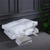 Oreiller ergonomique nouveau design en gros pour le remodelage du corps de qualité de sommeil de réduction du stress pour la chambre du cou Remise énorme