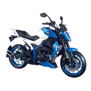 XGJ250-6, Jalan, Sepeda Motor Tipe Jalanan