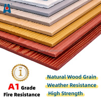 Panneaux décoratifs modernes perforés pour revêtement mural et de plafond de villa, imperméables et ignifuges, en fibro-ciment à grain de bois