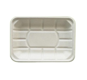 Bandejas Biodegradables <span class=keywords><strong>BIOPACK</strong></span> Tray48 de Bagazo de Caña de Azúcar para Alimentos, Carne, Verduras, Frutas, Uso en Fiestas, con Tamaño y Logotipo Personalizados - Product Image 2