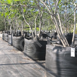 HOKBG sac de culture géotextile écologique de haute qualité grands arbres plantation 1000 litres sac géotextile tissé pp <span class=keywords><strong>pour</strong></span> arbres - Product Image 2