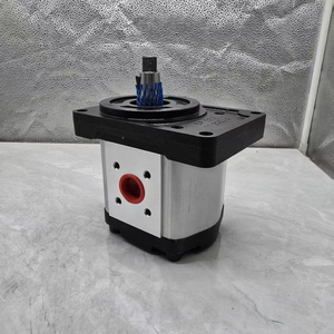 Pompe hydraulique à engrenages à pression continue SNP3NN033RN06AA SNP3NN026RN06AA SNP3NN033RN06AA - Product Image 5