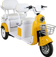 Tricycle à passagers 48V500W 20AH, tricycle à passagers japonais, vélo électrique, vélo électrique de loisirs