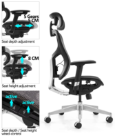 Fauteuil de bureau ergonomique moderne et inclinable avec accoudoirs réglables 6D, appui-tête réglable, support lombaire et dossier ailé en aluminium