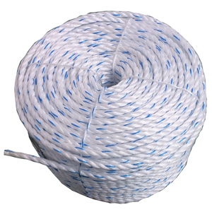 Bền Và Linh Hoạt 3 Sợi Xoắn Polypropylene Dây PP Danline Marine Dây Nổi Sợi Dây Thừng Cường Độ Cao Câu Cá Bao Bì - Product Image 3