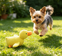 Jouet couineur pour chien en peluche canard jaune, jouet à mâcher durable pour la dentition des chiots, jouet en peluche doux pour animaux de compagnie pour l'heure du sommeil