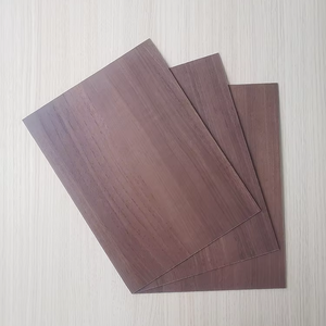 Tablero de madera contrachapada laminado HPL de alta calidad para montaje de tienda minorista y partición de inodoro decorativa para inodoros - Product Image 5
