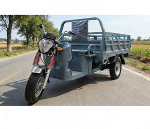 Tricycles fabriqués en Chine, véhicule <span class=keywords><strong>de</strong></span> transport <span class=keywords><strong>de</strong></span> marchandises, transporteur électrique, capacité <span class=keywords><strong>de</strong></span> 2 tonnes, meilleur prix - Product Image 3