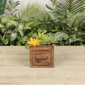 Macetas de madera Vintage de diseño moderno, cestas de plantación suculentas para interiores y exteriores, ventaja de precio a granel, Varios tamaños disponibles - Product Image 1