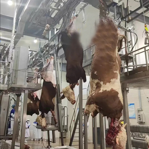 Ligne d'habillage d'abattoir de bovins <span class=keywords><strong>halal</strong></span> design moderne machines de <span class=keywords><strong>boucherie</strong></span> de bovins équipement d'abattoir de boeuf machine d'abattage de vaches - Product Image 3
