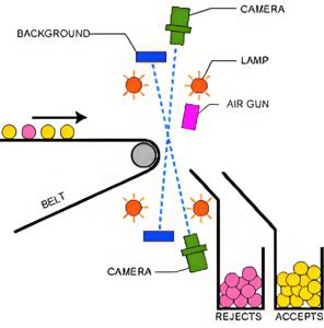 Phổ biến rộng rãi CS-LC300 gia vị SORTER hiệu quả tỏi ớt thì là màu <span class=keywords><strong>separator</strong></span> cho hình dạng phân loại - Product Image 6