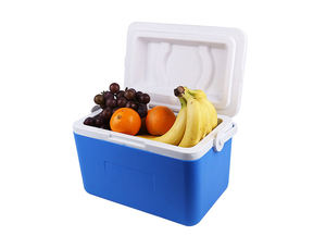 9L Commercial Plastic <b>Insulated</b> Ice Travel Delivery Small Capacity Portable Cooler <b>Lunch</b> <b>Box</b> for Camping Travel - Product Image 3