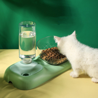 Bols pour animaux de compagnie à double usage, distributeur d'eau pour chat, bol pour chat, bouteille d'eau pour chien, double mangeoire pour animaux, vente en gros de bols pour chien