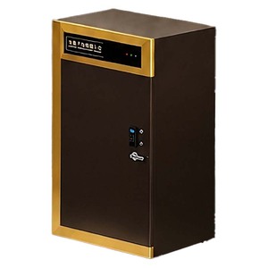 Machine de charge d'énergie scalaire quantique pour l'implantation électronique et l'équilibrage énergétique pour la santé - Product Image 1