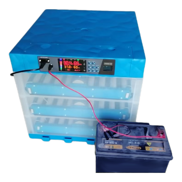 NLF 12V 220V  64 Eggs Automatic Egg Incubator Solar Incubator Battery Egg Incubators