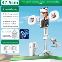 2025 P15Mini-C Portable Selfie Stick Trépied À Distance Nouveau Mini Équipement De Diffusion En Direct En Alliage D'aluminium Support De Téléphone Magnétique Durable