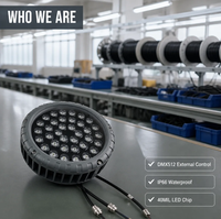 DMX512 RGB LED Vogelnest-Licht 36W DC24V IP66 Wasserdichtes Außenbeleuchtungs-Baumlicht für Garten, Plaza, Innenhof, Resort-Eingang