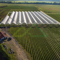 Grote enkellaagse multi-span PE polyfolie kasconstructie voor de productie van hoogproductieve groenten en bessen