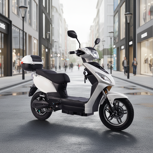 EU Road EEC COC Certificate 1000w48v Pedals Dual Lithium Battery Scooter for Sale - Product Image 2