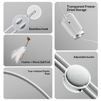 Distributeur de friandises pour chat à suspendre à la porte, jouet interactif avec plumes, puzzle et friandises lyophilisées pour chats d'intérieur