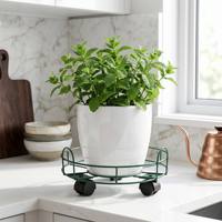 Plateaux de rangement modernes en fer, support pour plantes, noir, imperméable, écologique, durable, pour la maison, le salon, la cour, le restaurant, décoration