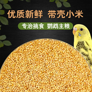 Millet frais décortiqué 1Kg Aliment pour oiseaux pour perroquets, perruches, calopsittes, alimentation principale - Product Image 1