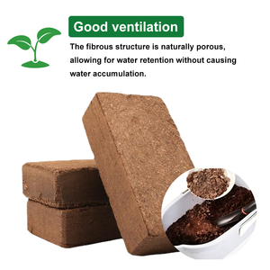 Briques de coco <span class=keywords><strong>bio</strong></span> sans BPA, compressées, s'agglutinent en 60 litres chacune, pour <span class=keywords><strong>substrat</strong></span> et fruitage de champignons - Product Image 4