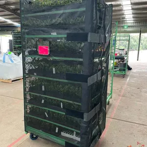 UV-Bestendige Ademende Stoffen Wrap Voor Potcultuurpotplantentrolwagens