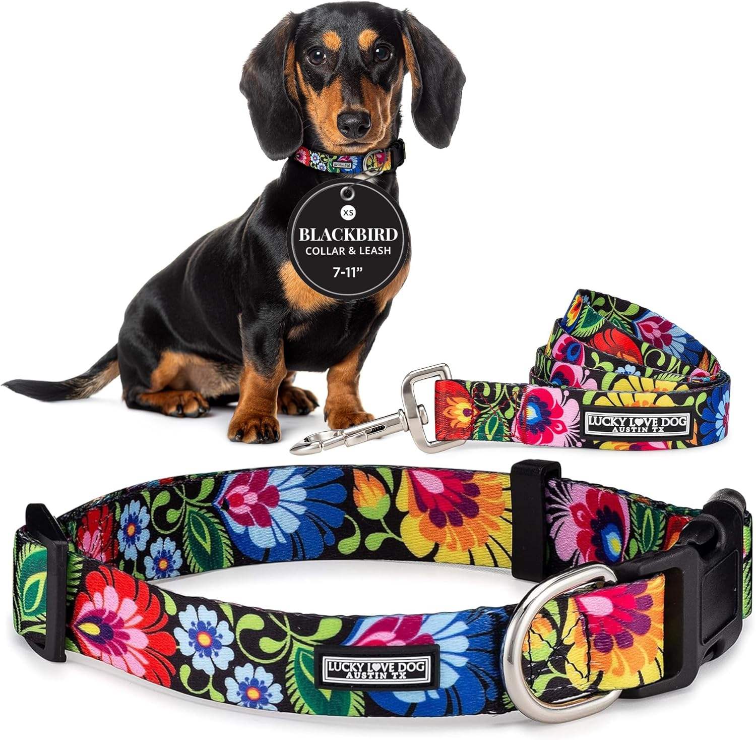 Blackbird Collar/Leash Combo
