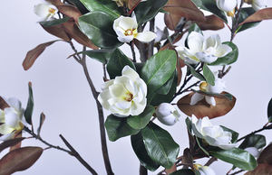 Árboles <span class=keywords><strong>de</strong></span> <span class=keywords><strong>Magnolia</strong></span> Artificiales en Maceta al por Mayor, Bonsáis Decorativos <span class=keywords><strong>de</strong></span> Interior para Decoración del Hogar - Product Image 2