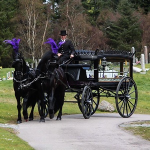 Cérémonie funéraire <span class=keywords><strong>chr</strong></span>étienne, carrosse à chevaux, carrosse funéraire antique noir tiré par des chevaux à vendre, style anglais - Product Image 3