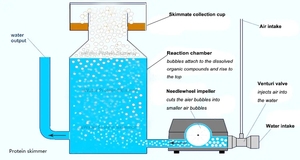 Écumeur industriel de protéine de Heylan 5m3/h Débit d'intérieur de l'aquaculture de crevette de tilapia d'équipement de pisciculture de HL-PS5-6 de mousse de RAS - Product Image 6
