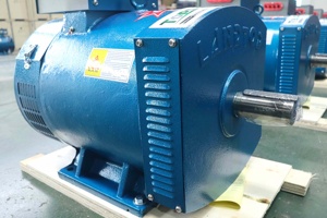 LANDTOP STC ST Générateur Dynamo Alternateur 3-50kw Générateur AC 60Hz Fréquence Brosse <span class=keywords><strong>Excitation</strong></span> 400v/230v/12v Nominale - Product Image 4