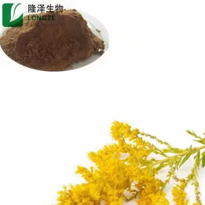 Extrait de fines herbes Extrait de Solidago/flavonoïdes Solidago Decurrens Lour Extrait de verge d'or