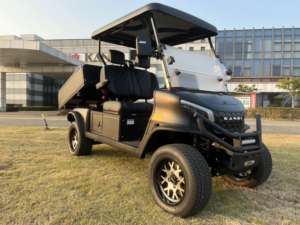 سيارة فائدة شاحنة صغيرة متعددة الوظائف عربات التي تجرها الدواب كاندي الليثيوم في الطرق الوعرة مركبة - Product Image 5