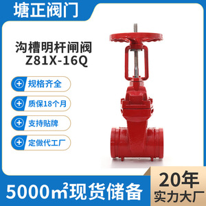 วาล์วเกตแบบก้านยก Tang Zheng รุ่น Z81X-16Q ซีลนุ่ม ผลิตจากเหล็กดัด พร้อมขอบหน้าแปลนเคลือบ EPDM สำหรับควบคุมระบบไฮดรอลิก - Product Image 3