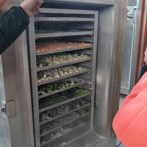 Congelatore Commerciale a Piastre, <span class=keywords><strong>Macchina</strong></span> Industriale ad Azoto Liquido per Gelati, Carne, Pesce, Espositore Refrigerato a Congelamento Rapido - Product Image 5