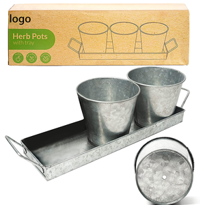 Ensemble <span class=keywords><strong>de</strong></span> 3 pots à herbes galvanisés avec plateau, pots à fleurs en métal, <span class=keywords><strong>pour</strong></span> plantes d'intérieur, idéal <span class=keywords><strong>pour</strong></span> la culture <span class=keywords><strong>de</strong></span> plantes aromatiques fraîches sur le <span class=keywords><strong>rebord</strong></span> <span class=keywords><strong>de</strong></span> fenêtre - Product Image 5
