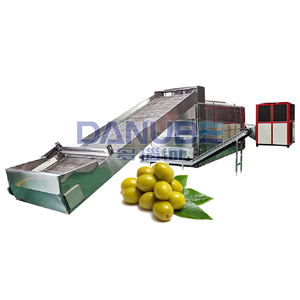 Secador continuo de alta capacidad OEM, secado de aceitunas, secador de correa de malla de fruta de Oliva de alta eficiencia - Product Image 1