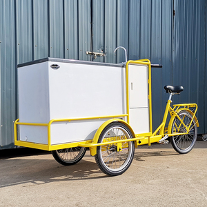 Bici elettrica del carrello del triciclo del gelato da vendere triciclo del carico della cabina con il congelatore per la consegna del cibo - Product Image 2