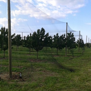 Filet de <span class=keywords><strong>protection</strong></span> vert <span class=keywords><strong>pour</strong></span> oiseaux, directement de l'usine, <span class=keywords><strong>pour</strong></span> arbres fruitiers et vergers – Fourniture de jardin <span class=keywords><strong>pour</strong></span> la <span class=keywords><strong>protection</strong></span> des plantes et la prévention des nuisibles - Product Image 1