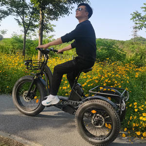 Prix usine 3 roues vélo 48V 750W trois roues adulte cargo vélo électrique avec panier - Product Image 6