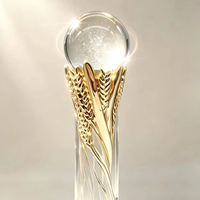 Trophées en cristal K9 personnalisés pour les récompenses d'entreprise et sportives
