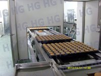 Solution HG entièrement automatique pour cupcakes en mousse, équipement industriel pour cupcakes en mousse avec four tunnel multi-zones 100-1000 kg/h
