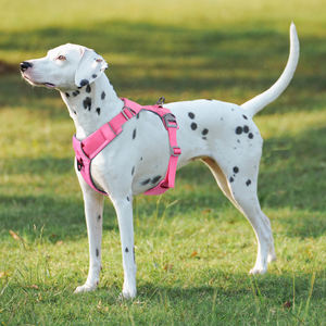 プルドッグハーネスなし反射パッド入り通気性小中大型犬用ベストトレーニングウォーキング最高のペットハーネス - Product Image 6