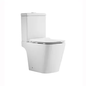 Standar Eropa CE jual panas keramik Wc toilet mangkuk dual flush p-perangkap lantai dipasang dua bagian Toilet