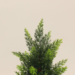 Jwt4046 Cây Nhân Tạo Bán Buôn Nhỏ Trong Nhà Nhân Tạo Cây Thông Thông Giáng Sinh Đồ Trang Trí Trang Trí Nhỏ Cây Thông - Product Image 5