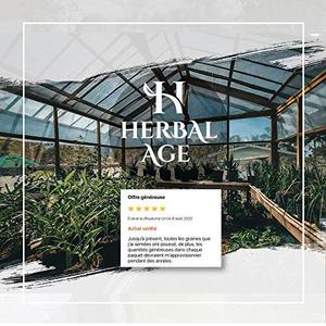 14 Variétés Anciennes de Tomates pour Jardin Intérieur et Extérieur – Cadeau de Jardinage pour Homme et Femme - Product Image 3