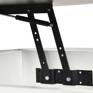 Kainice hiện đại 2-Tier Vòng Lift Top Bàn cà phê nhà văn phòng & phòng khách kim loại đồ nội thất với Pet ẩn lưu trữ ngăn - Product Image 5